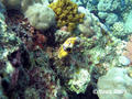 foto de buceo