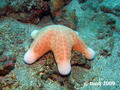 foto de buceo