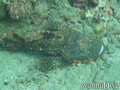 foto de buceo