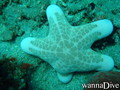 foto de buceo