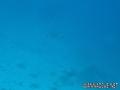 foto de buceo