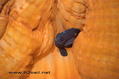 foto de buceo