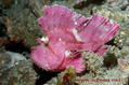 foto de buceo
