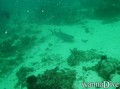 foto de buceo