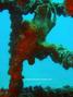 foto de buceo