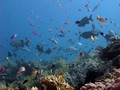 foto de buceo