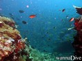 foto de buceo