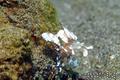 foto de buceo
