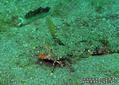 foto de buceo