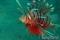foto de buceo