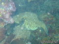 foto de buceo