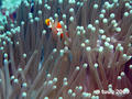 foto de buceo