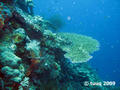 foto de buceo