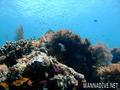 foto de buceo
