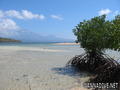 foto de buceo
