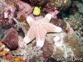 foto de buceo
