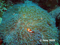 foto de buceo