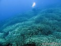 foto de buceo