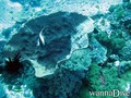 foto de buceo