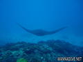foto de buceo