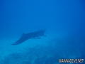 foto de buceo