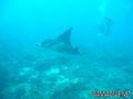 foto de buceo