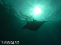 foto de buceo