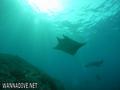 foto de buceo