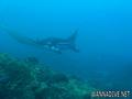 foto de buceo