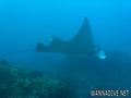 foto de buceo