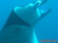 foto de buceo