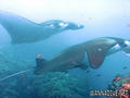 foto de buceo