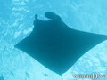 foto de buceo