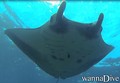 foto de buceo