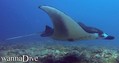 foto de buceo