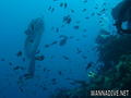 foto de buceo