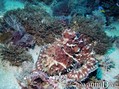 foto de buceo