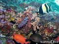 foto de buceo