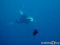 foto de buceo