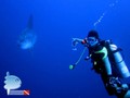 foto de buceo