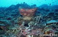 foto de buceo
