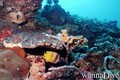 foto de buceo