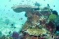 foto de buceo