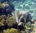 foto de buceo