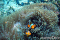 foto de buceo