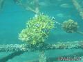 foto de buceo