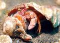 foto de buceo