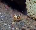foto de buceo