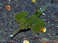 foto de buceo