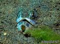 foto de buceo